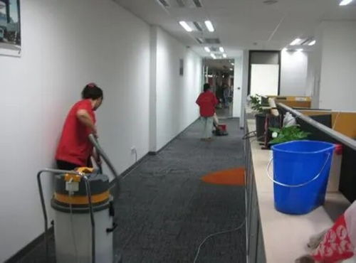 寶山開(kāi)荒地毯清洗服務(wù)